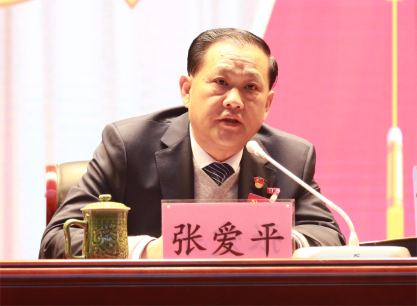 张爱平同志宣读中共买球线上平台,买球（中国）第一届党委成员分工及纪委成员分工